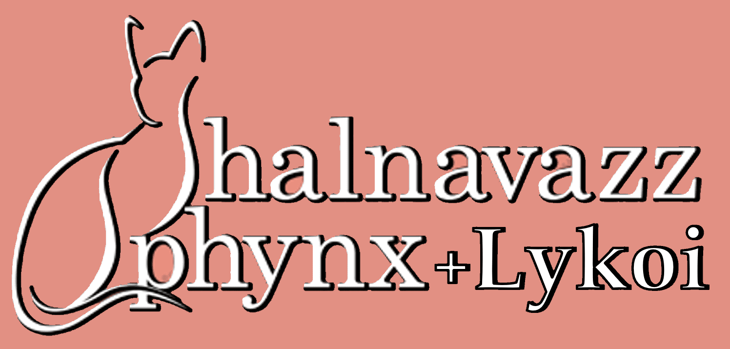 Shalnavazz Sphynx and Lykoi cats
