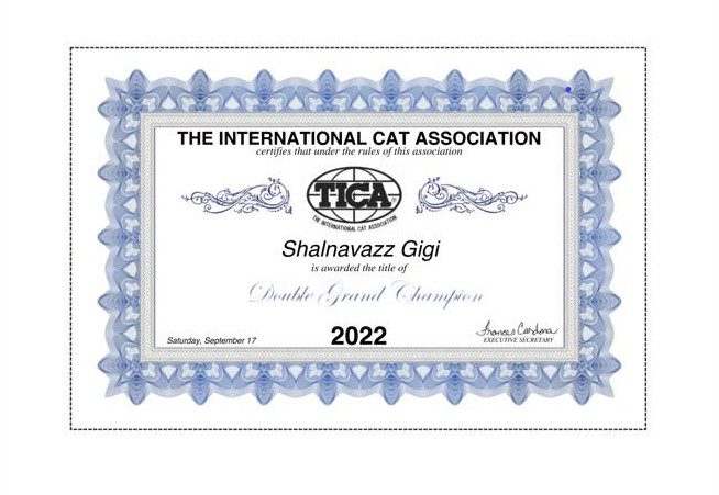 Gigi's Grand Champion certificate
