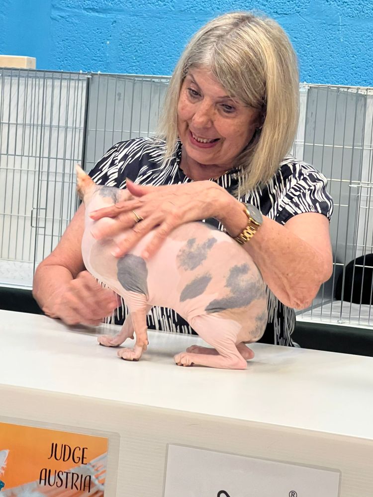 Black And White Supreme Champion Da Li who achieved ten out of ten finals.