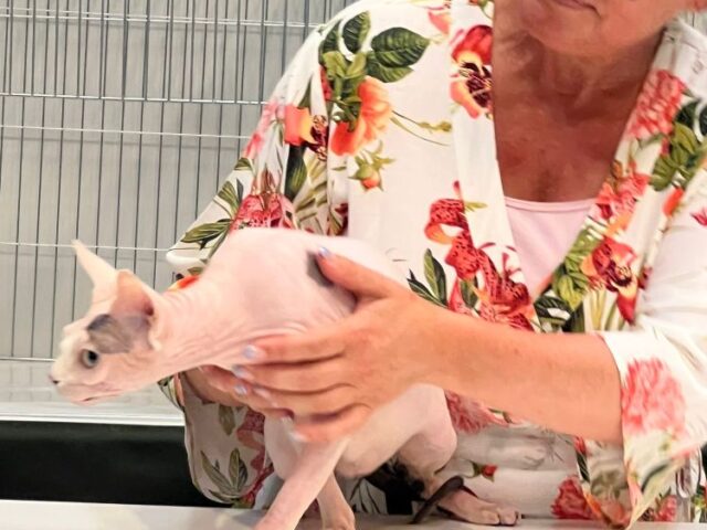 Amazing show weekend